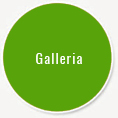 Galleria