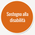 Sostegno alla disabilità